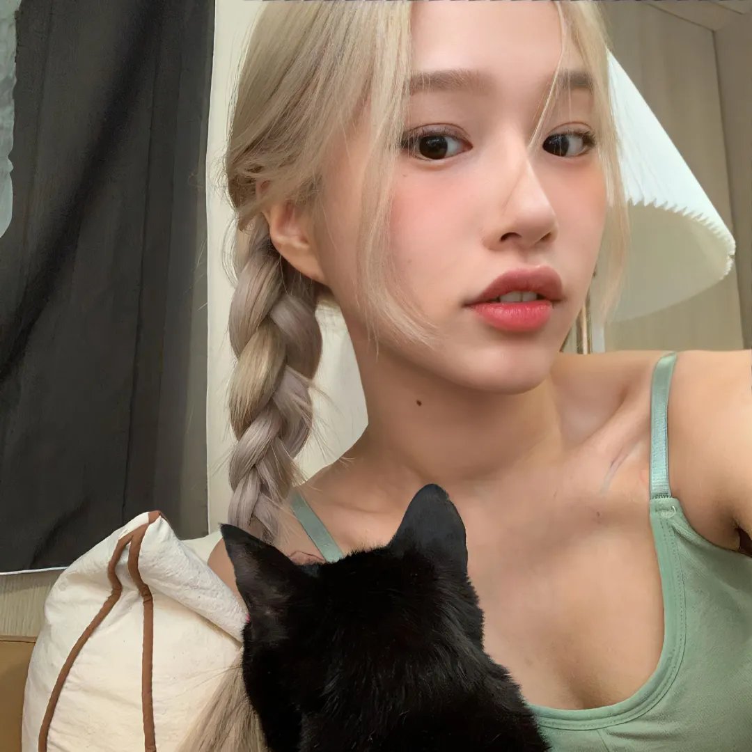 毒网风云
