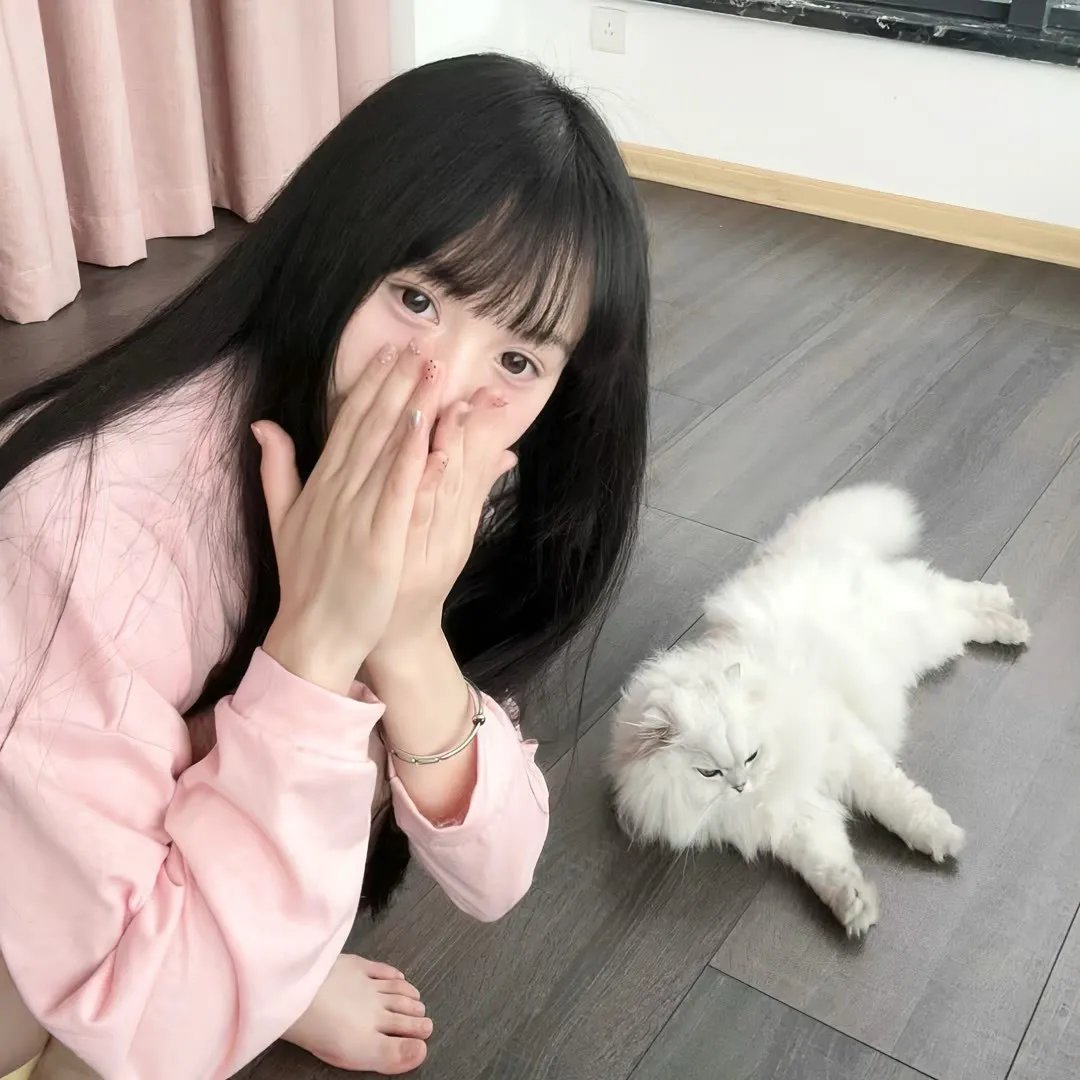 机器肉鸡第八季