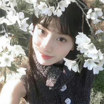 复仇女黑帮